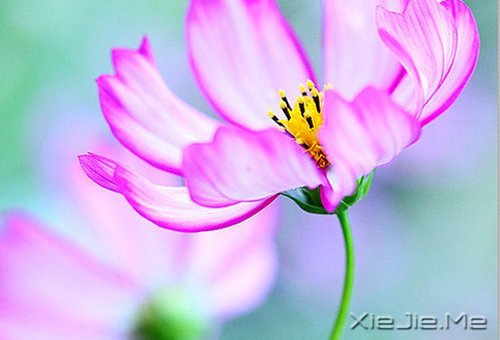 如果时间可以倒退，一切也就不再珍贵 (1)
