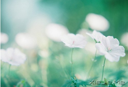 如果时间可以倒退，一切也就不再珍贵 (6)