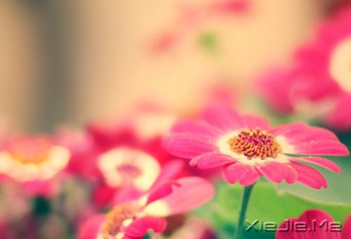 如果时间可以倒退，一切也就不再珍贵 (10)