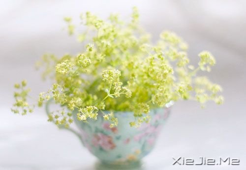 早安心语：你看事情太明白，往往就失了做事的勇气 (5)
