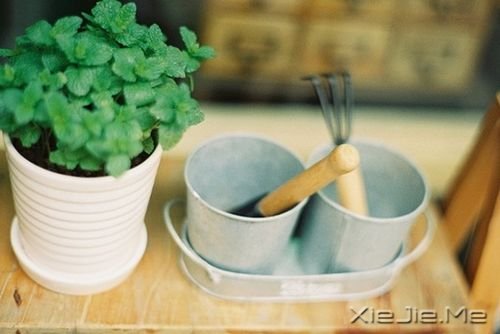 晚安心语：心若沉浮，浅笑安然 (4)