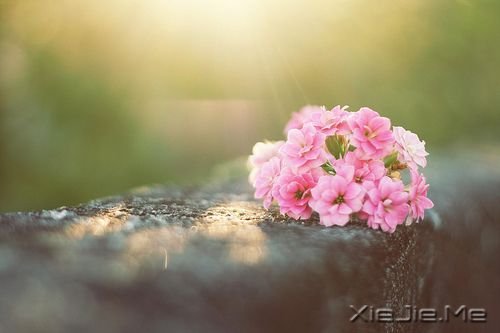 晚安心语：彷徨时，多一份信念 (10)