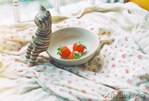 早安心语：人必须拥有梦想，才会有起床的动力 (7)