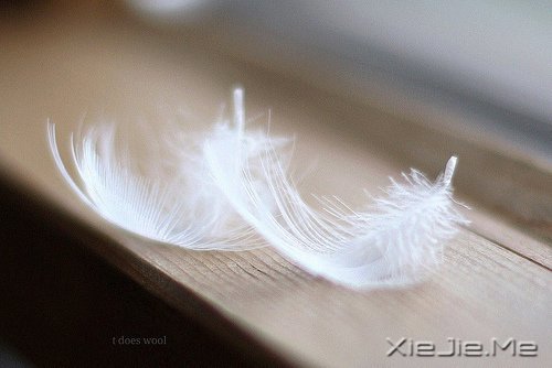 早安心语：生活总会给你第二次机会，叫明天 (1)