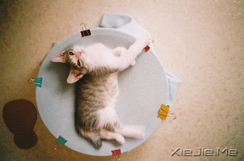 晚安心语：有些话，适合烂在心里 (10)