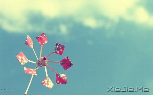 早安心语：有些痛苦，适合无声无息的忘记 (1)